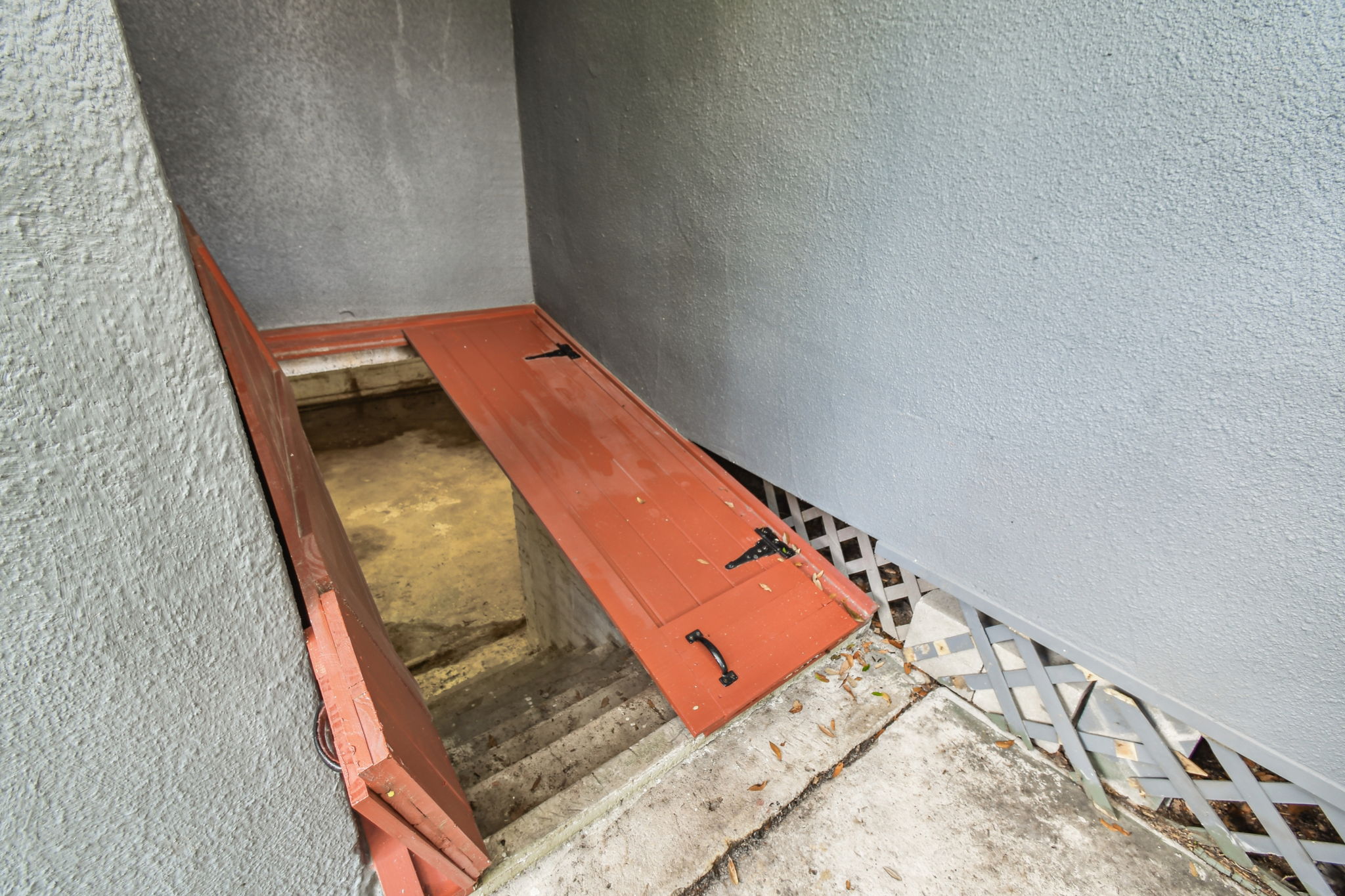 Entry doors to partial basement/cellar