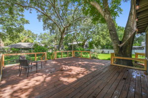 Shady deck with lighting and rails/posts for grapevines!