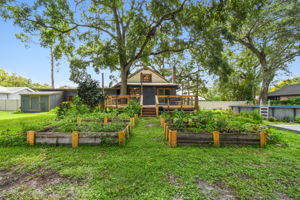 Grow your own veggies!