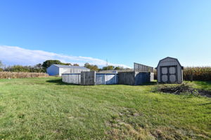 Pool & Shed
