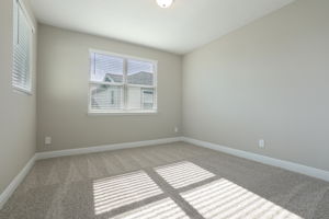 Orlando- Silverleaf Reserve-5242 Citrus Leaf Blvd, Horizon West, FL 34787-042