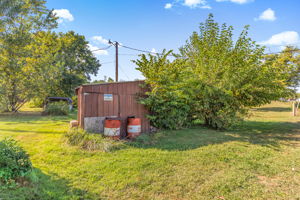  Photo 44