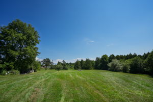  Photo 100