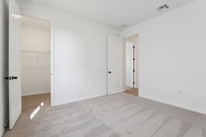 Painted Bamboo St-S0601-026.jpg