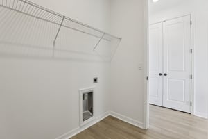 Painted Bamboo St-S0601-040.jpg