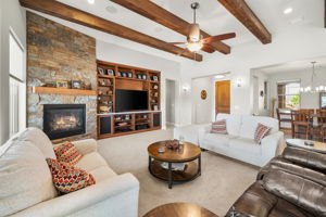 Living Room (2)