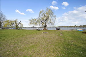  Photo 39