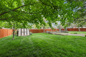  Photo 49