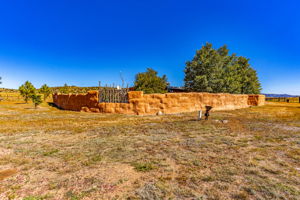  Photo 49