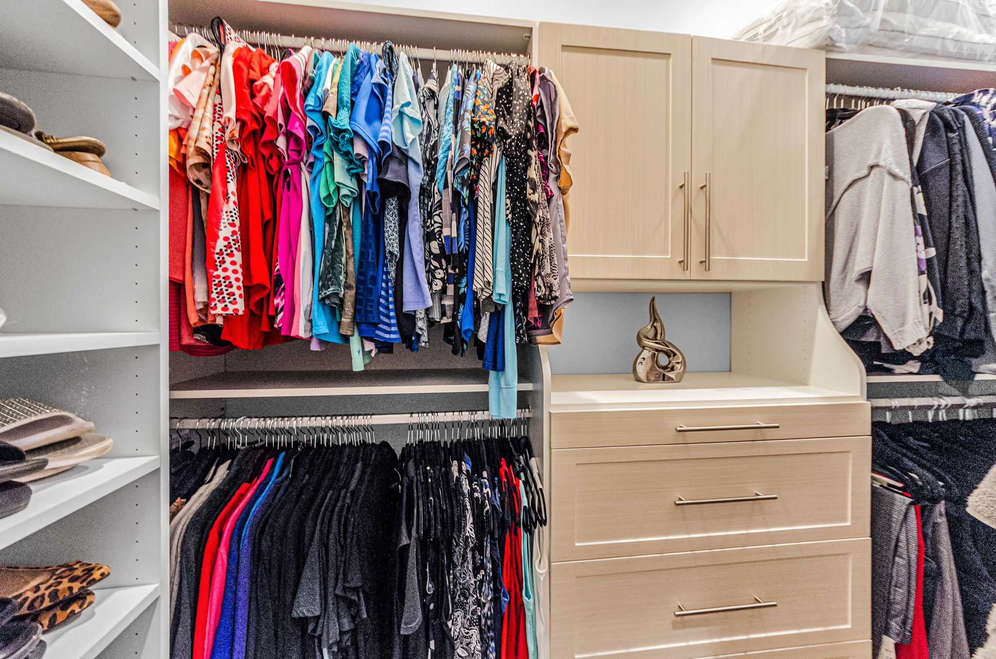 Primary Bedroom Walk-in Closet1a