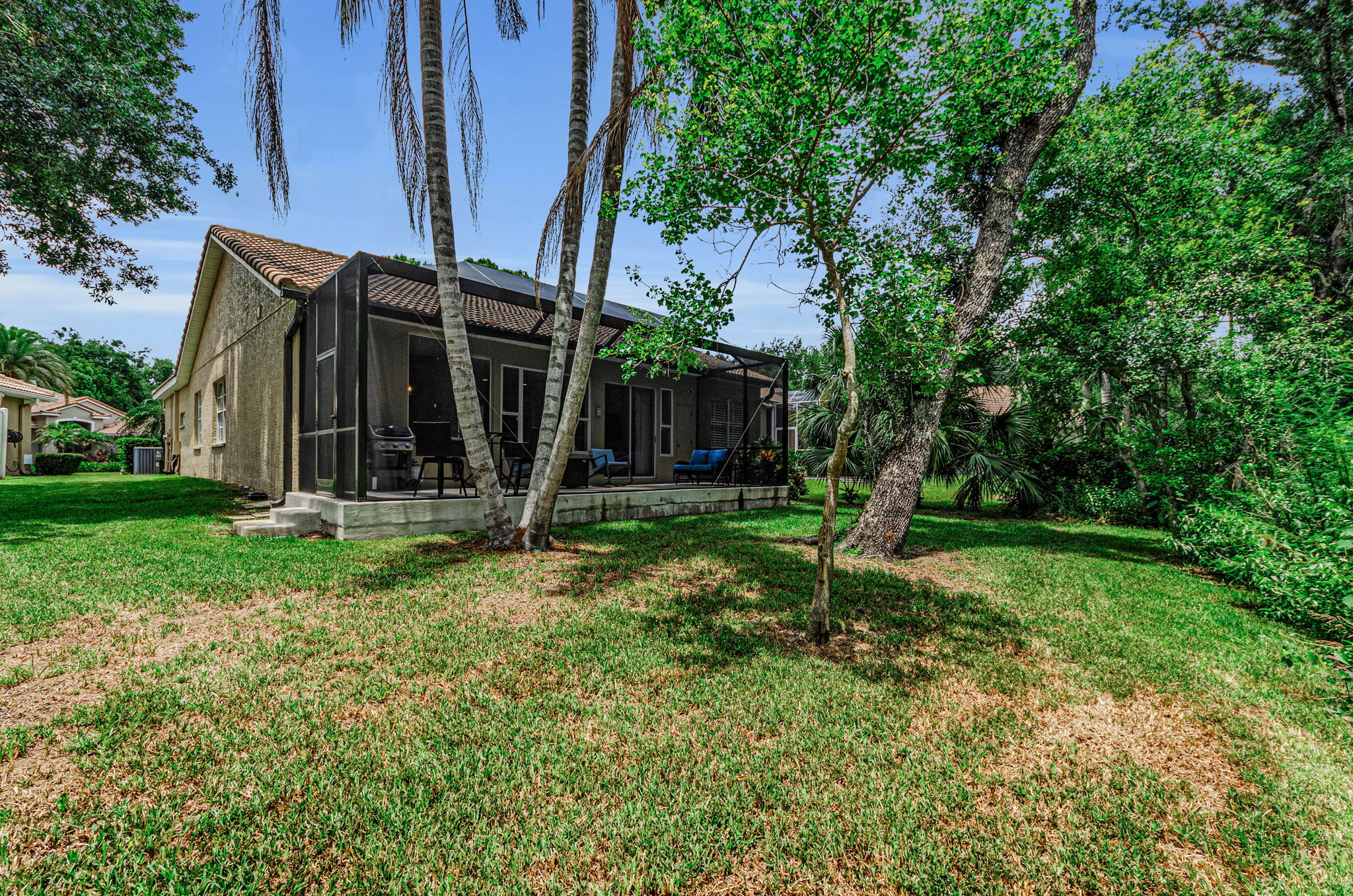 Backyard4