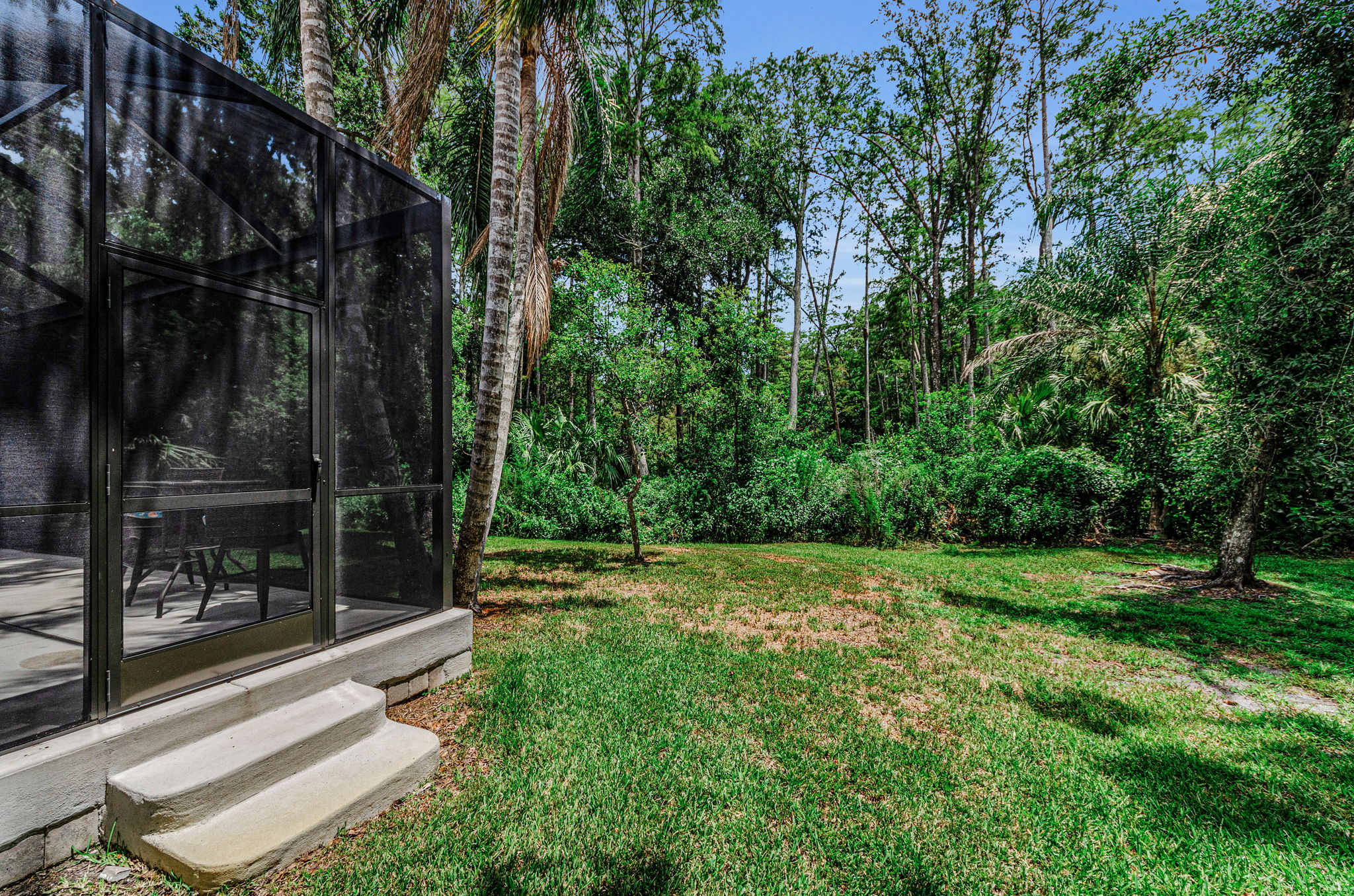 Backyard5