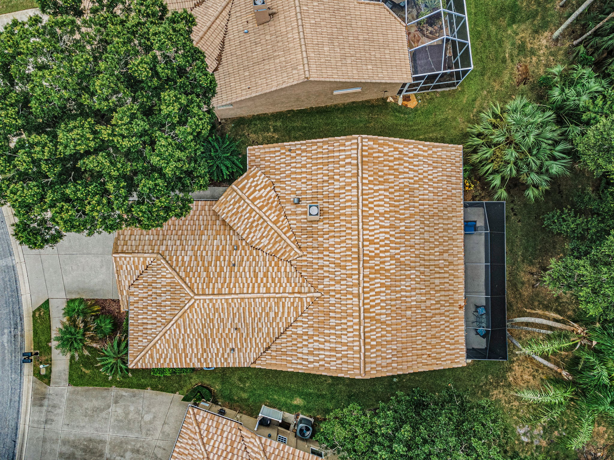 Aerial (18)