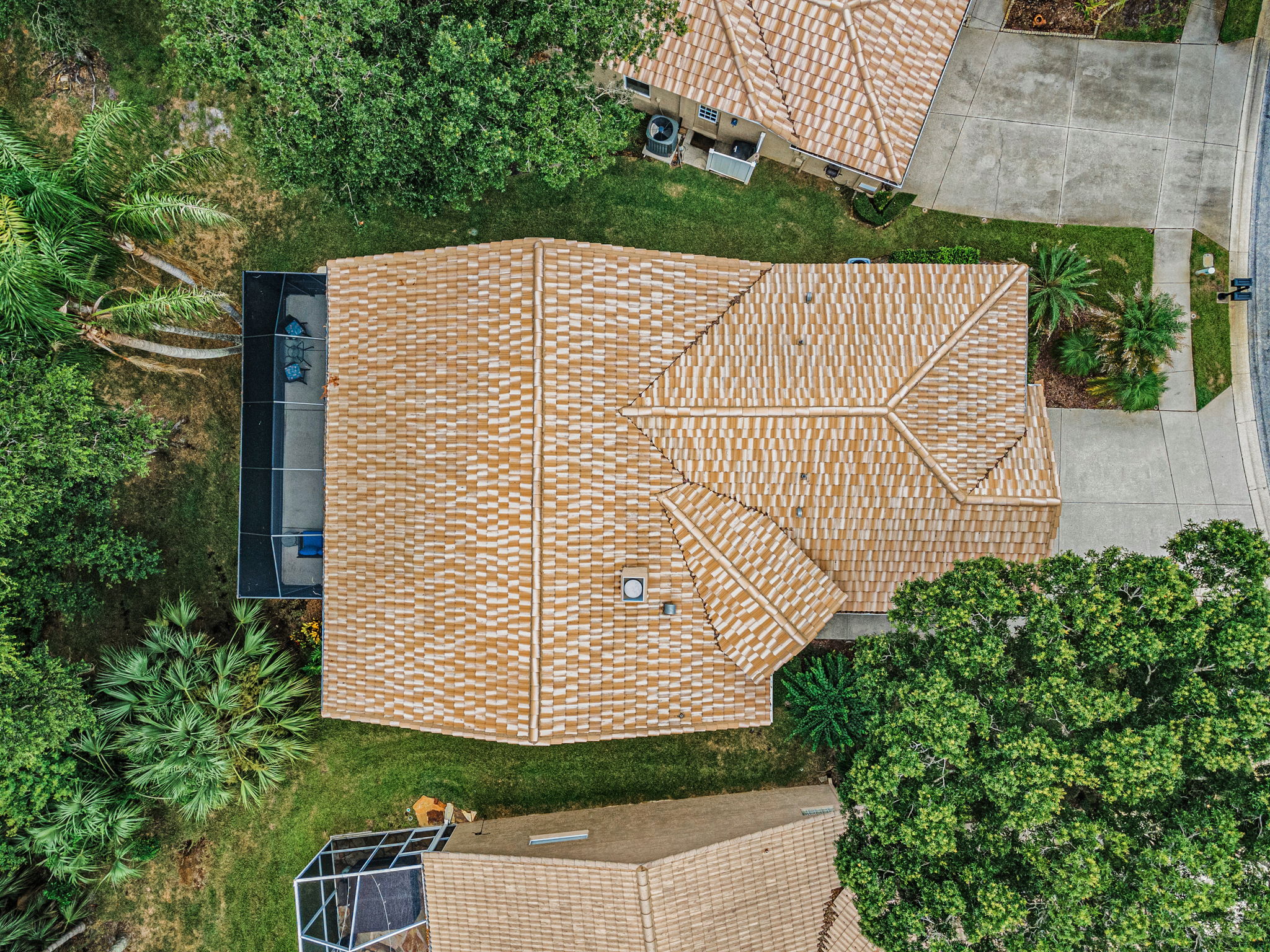 Aerial (19)
