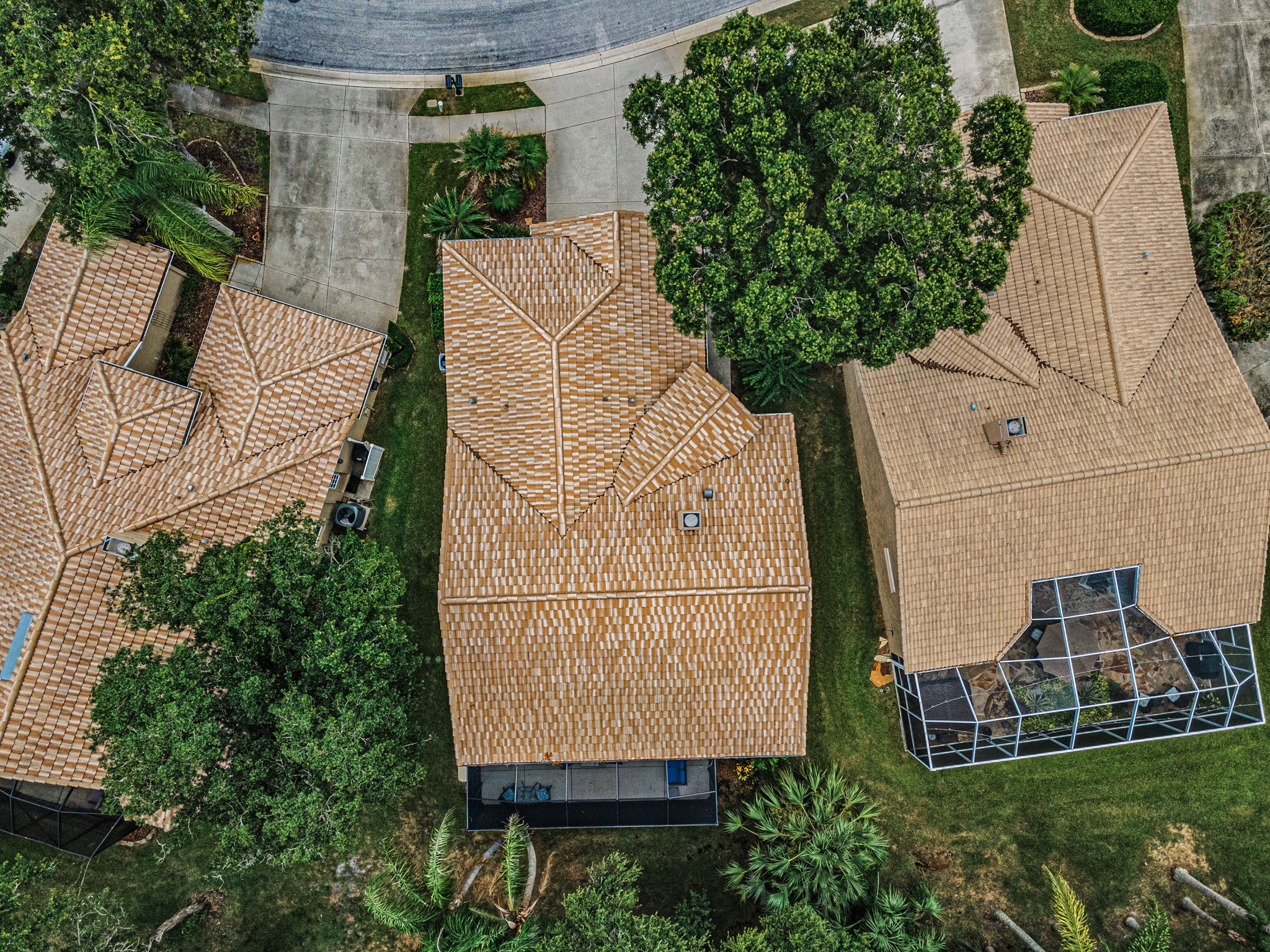 Aerial (20)