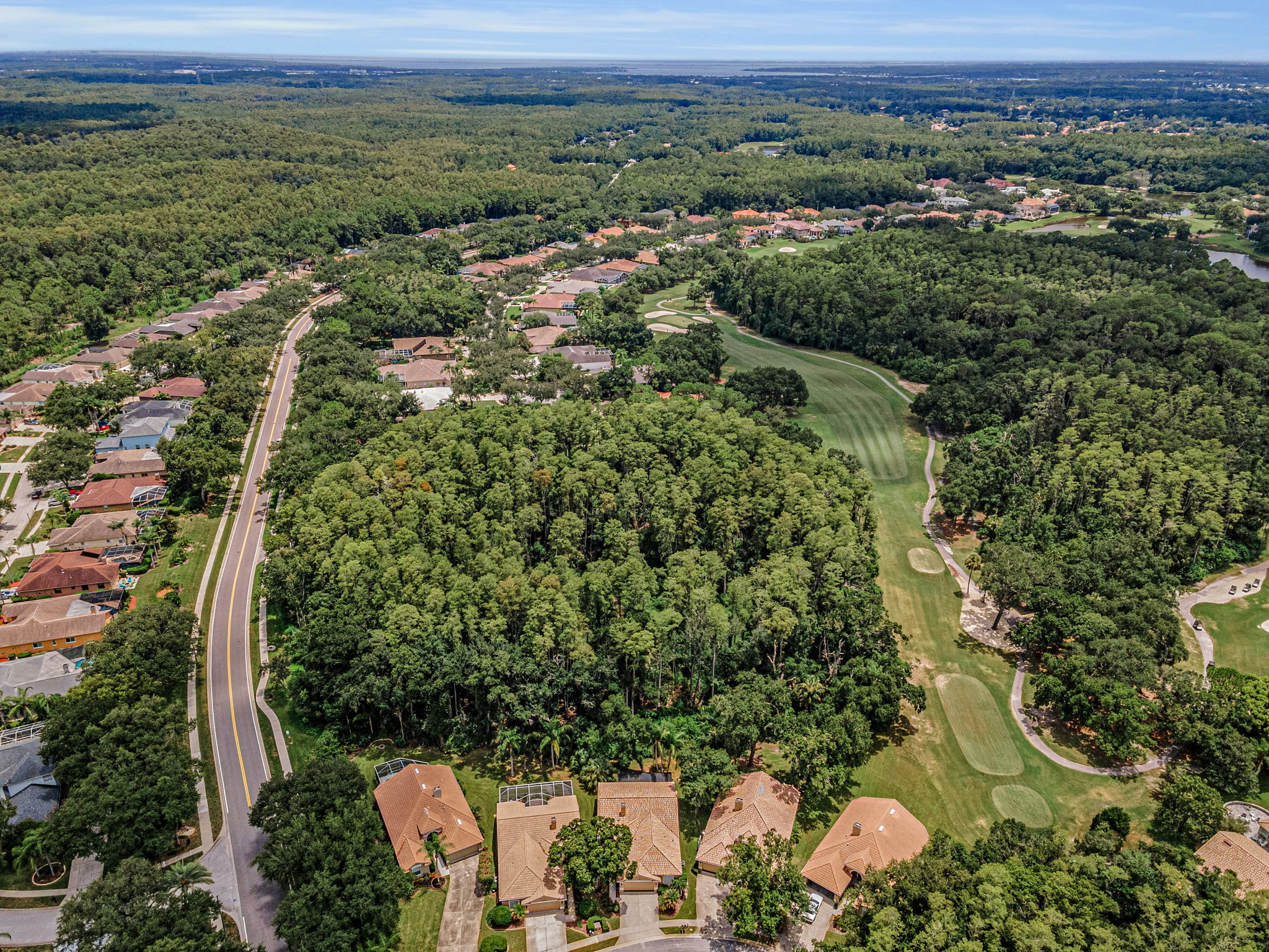 Aerial (5)