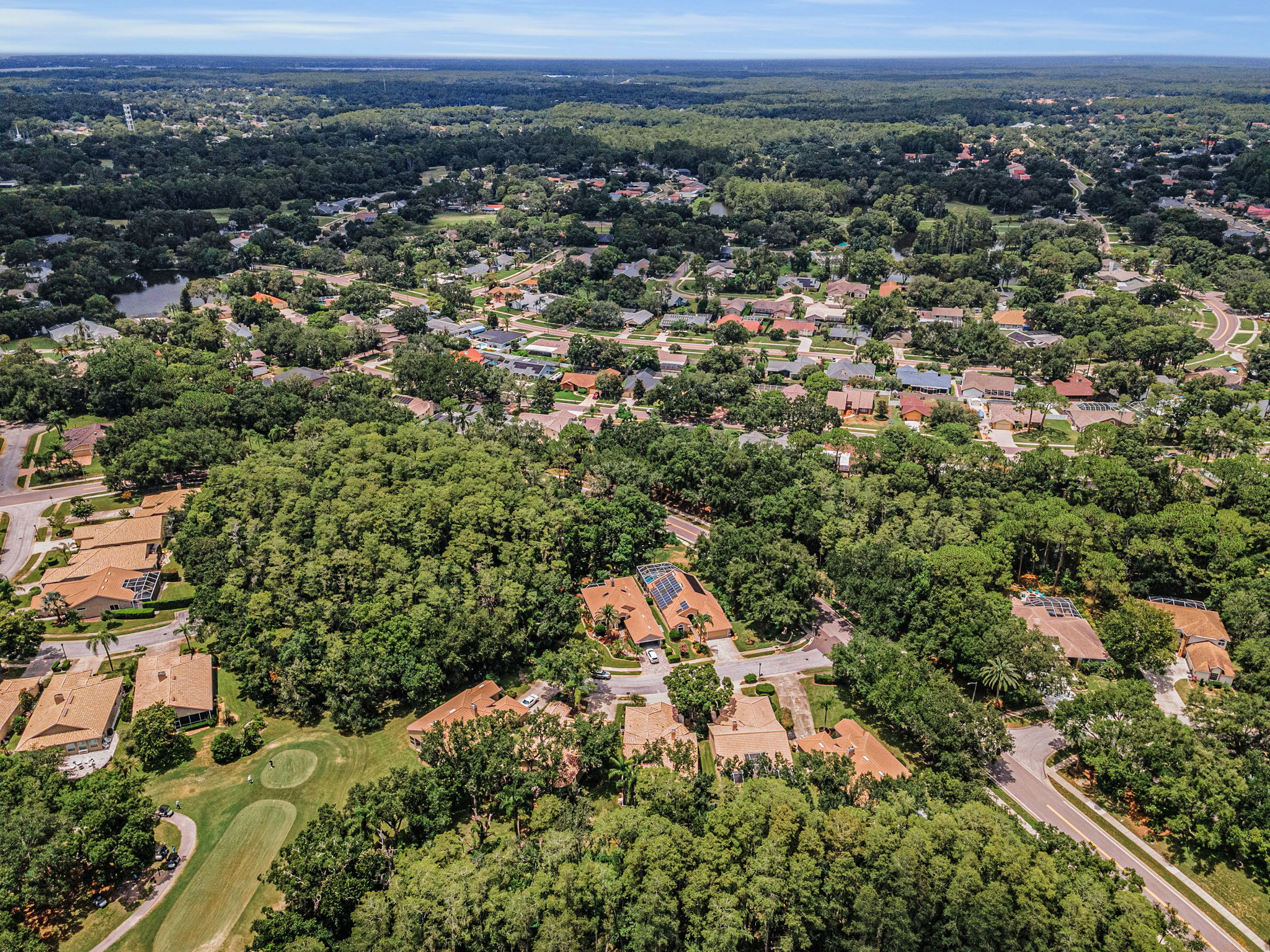 Aerial (11)