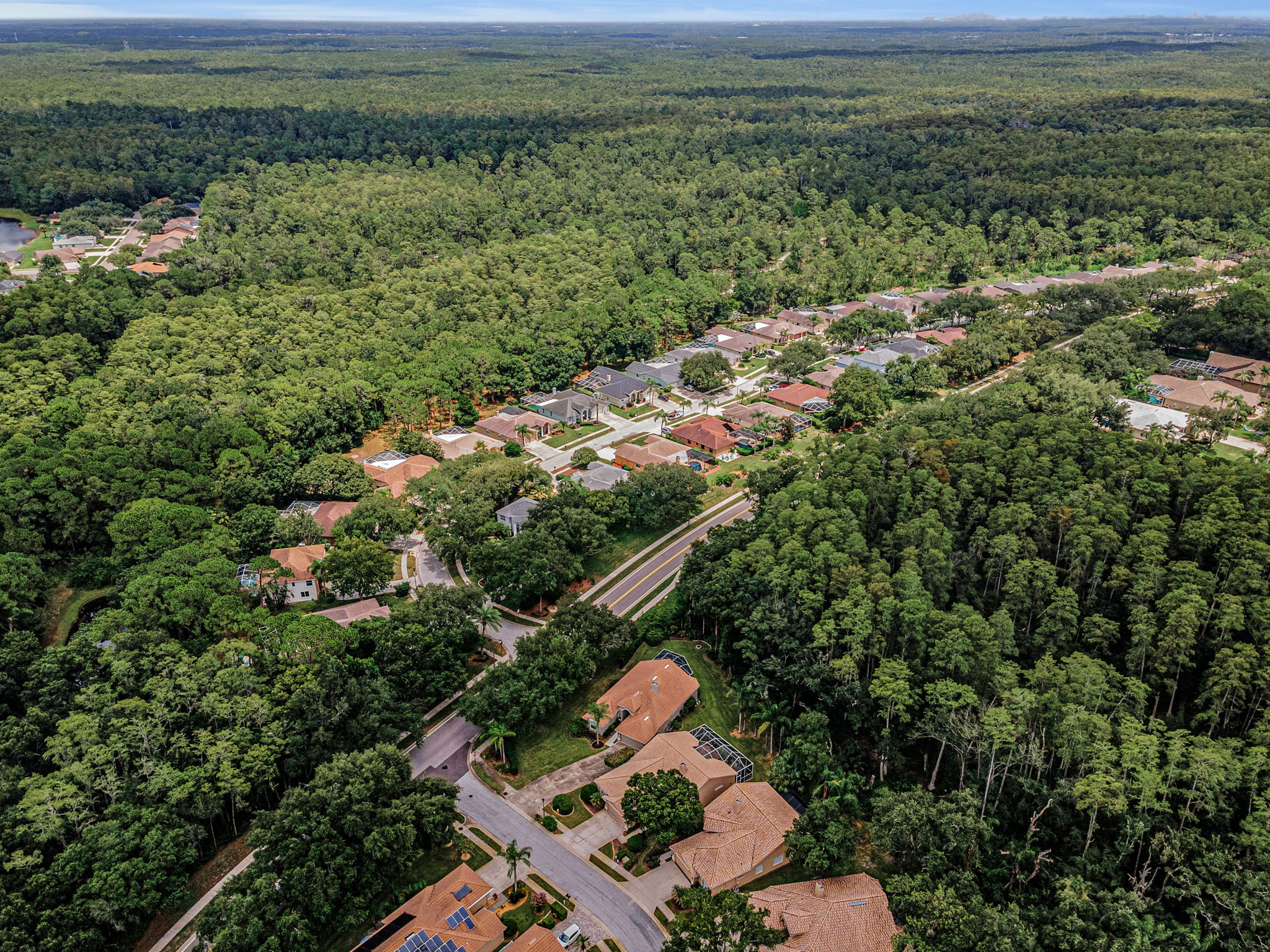 Aerial (14)