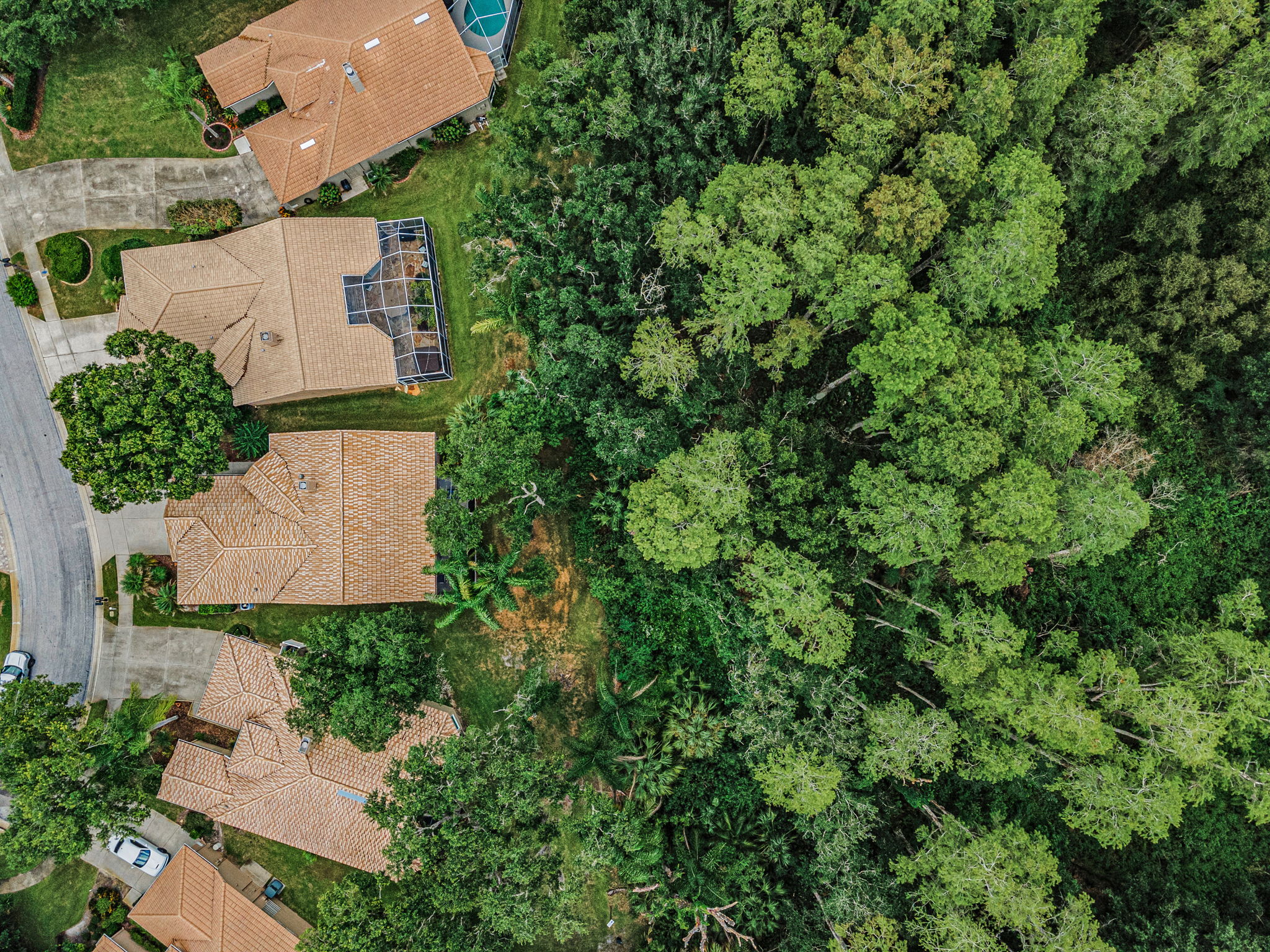 Aerial (16)