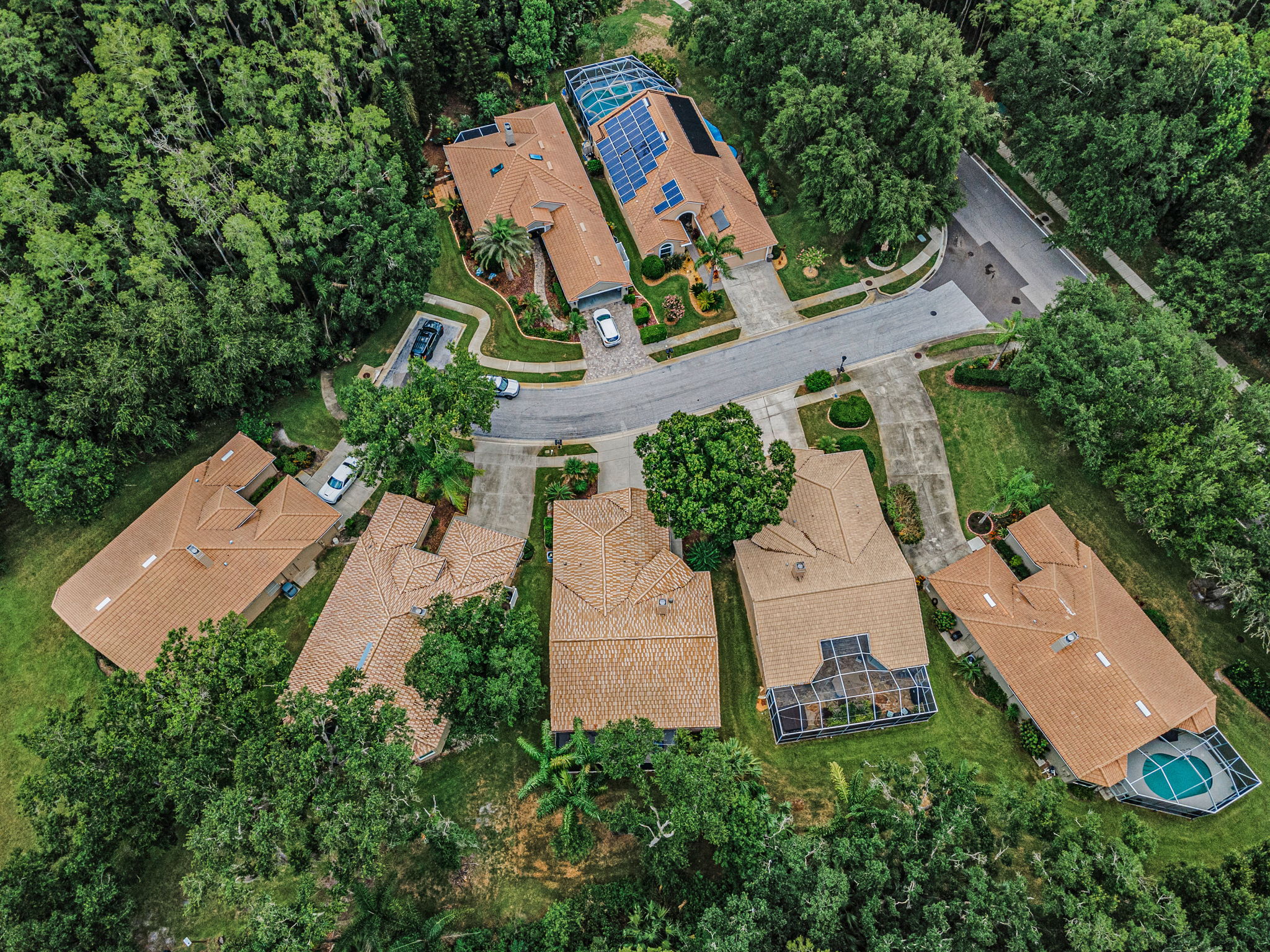 Aerial (17)