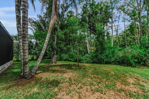 Backyard7