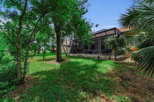 Backyard2