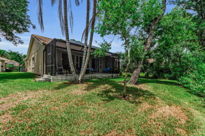 Backyard4