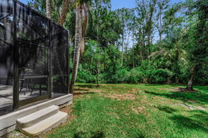 Backyard5