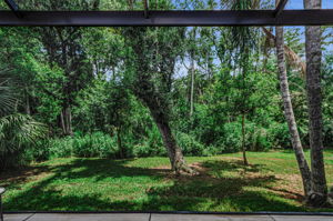 Lanai2