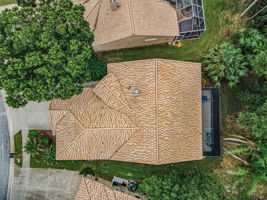 Aerial (18)
