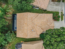 Aerial (19)