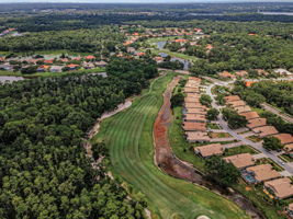 Aerial (9)