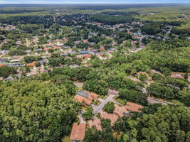 Aerial (10)