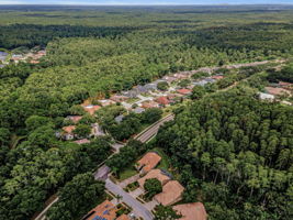 Aerial (14)