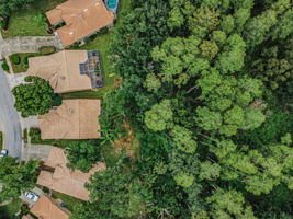 Aerial (16)
