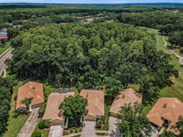 Aerial (3)