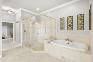 Primary Bathroom 2