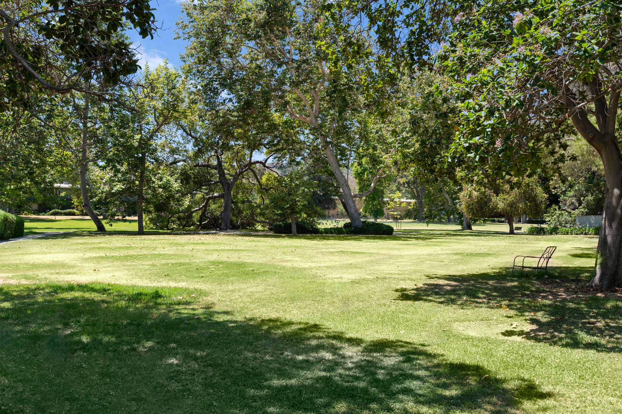  Photo 31
