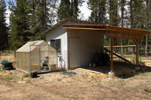  Photo 43