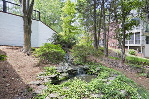  Photo 49