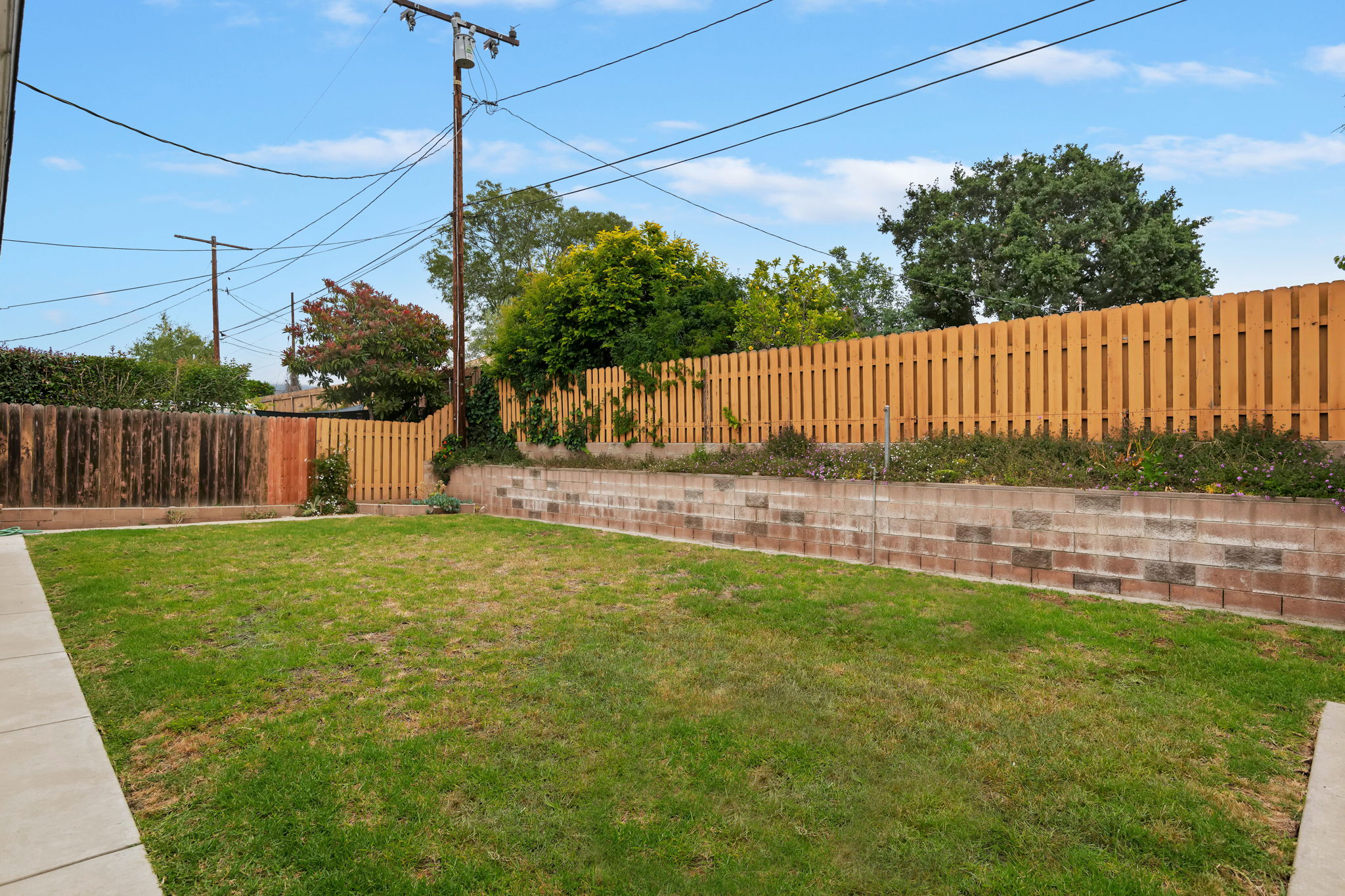 25 - Back Yard