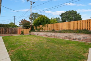 25 - Back Yard