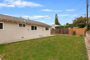 26 - Back Yard