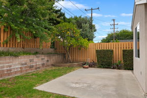 28 - Back Yard