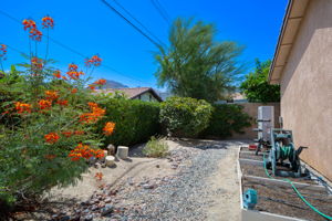  Photo 32