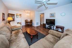 Living Room3-3