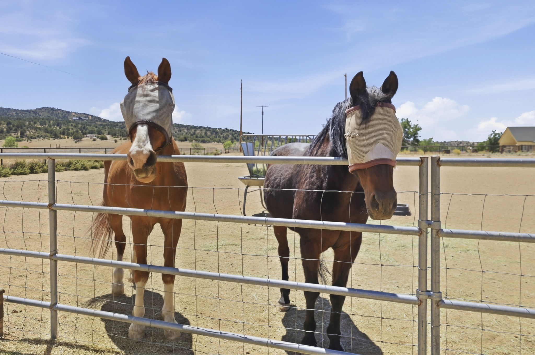 Corral