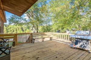 Back Porch View 1