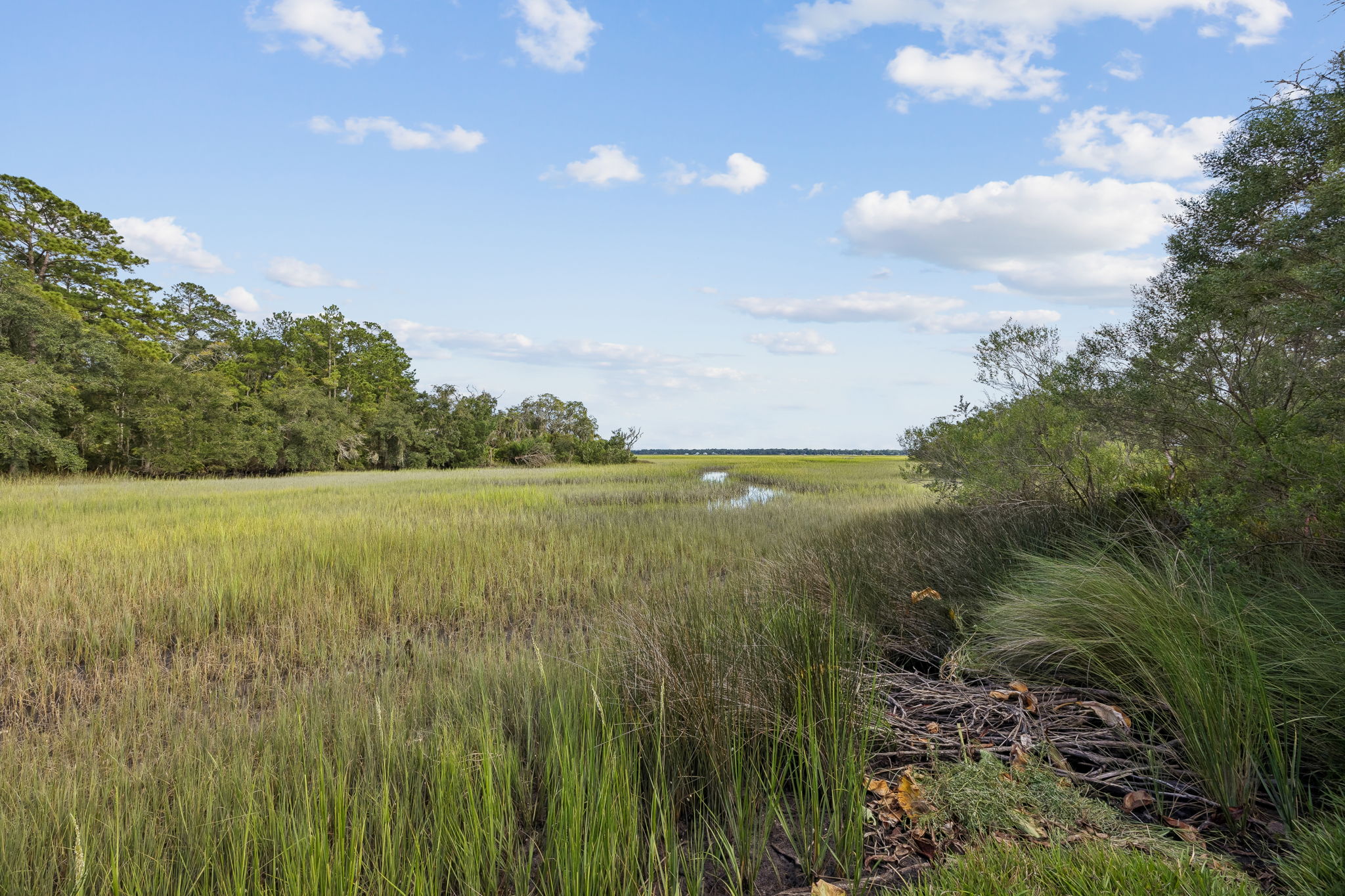 Marsh View