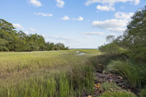 Marsh View